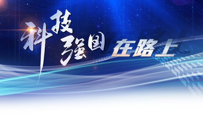 企业搜索数据库索引：揭秘其核心与价值**