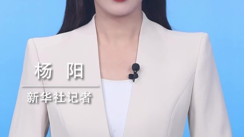 人工智能应用系统：揭秘其核心架构与应用场景